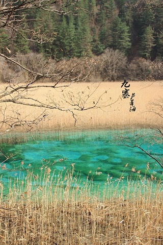 人间天堂九寨沟12